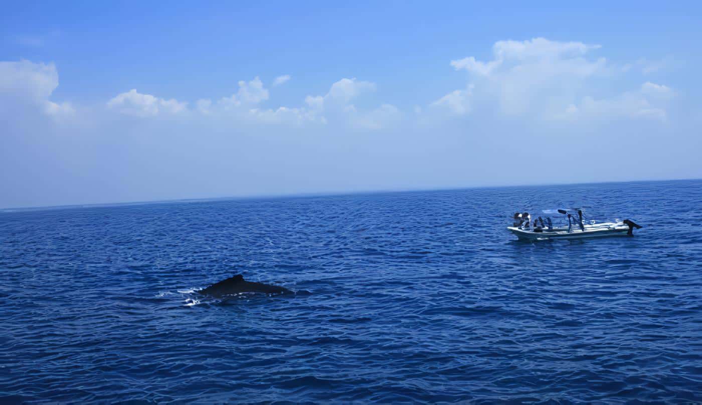 Aguas no Marítimas