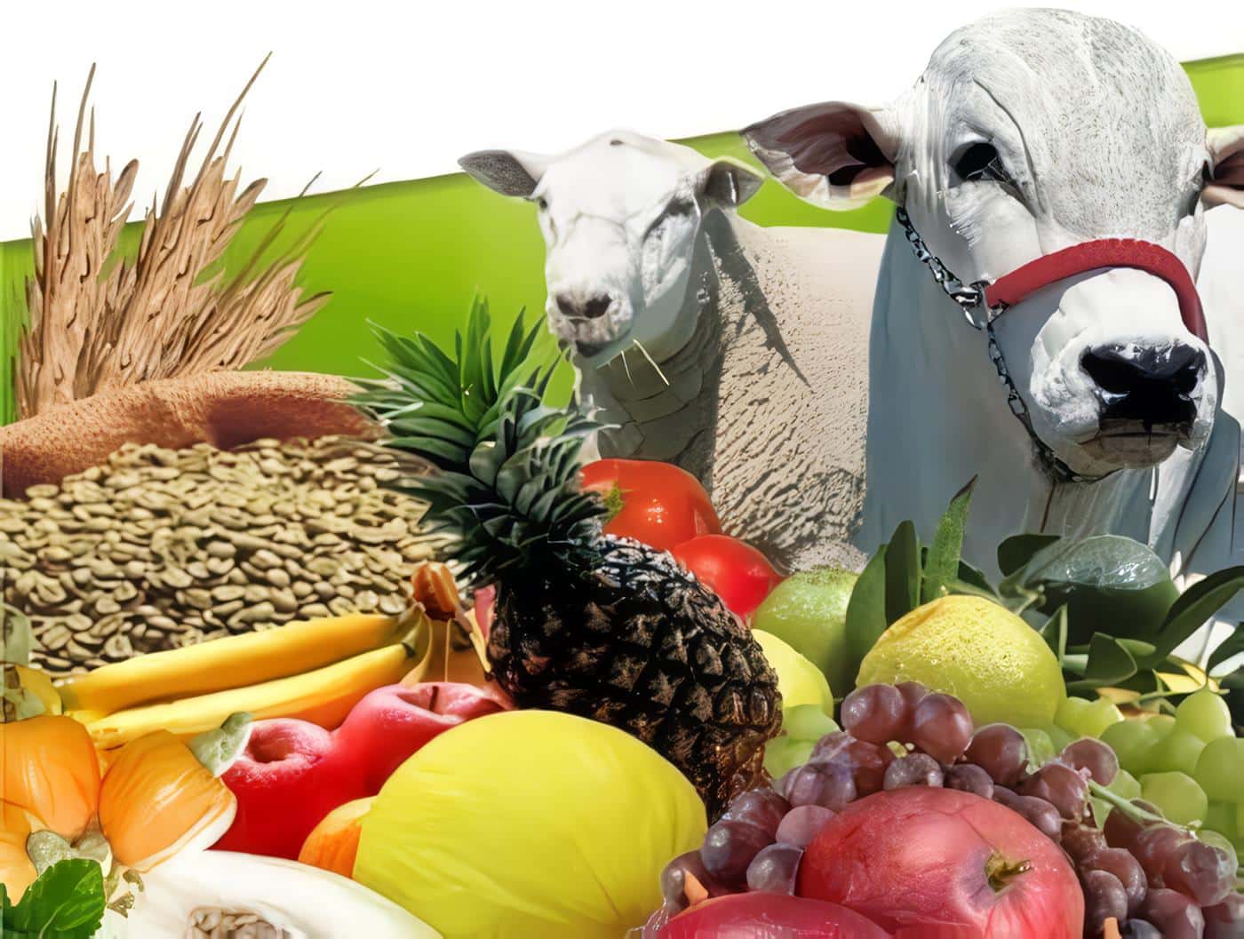 Bolsa Agropecuaria
