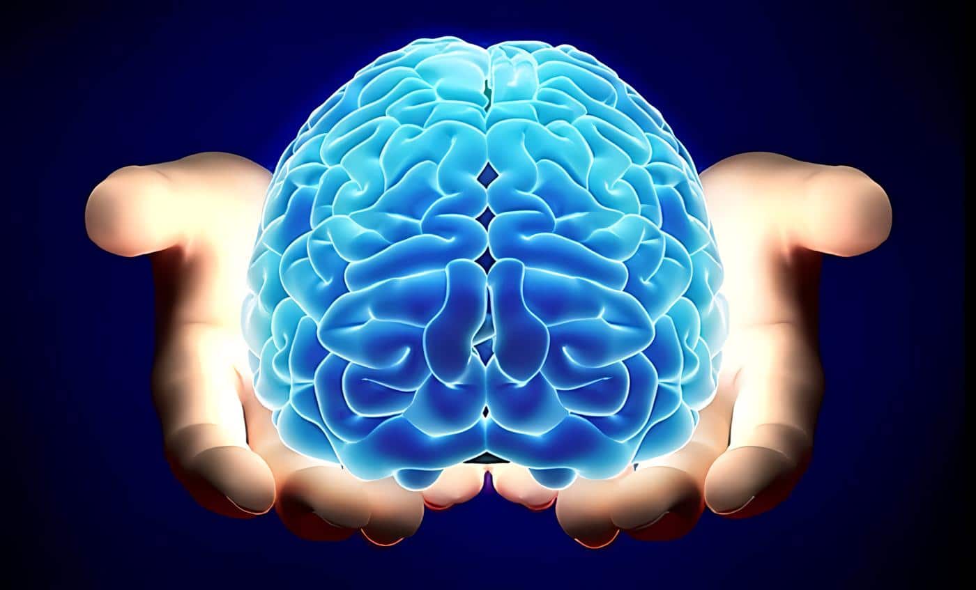 cerebro manos