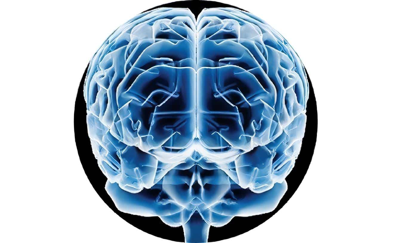 cerebro